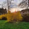 sara_ett2610