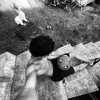 mdsdavii7