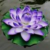 flordelotoblossom7