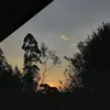 eusouandri05