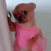 kimberlycarolyn