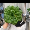 radita_7
