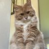 highhoneybunny