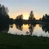 guddy783