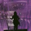 jananee8