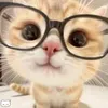 mai.anh0311