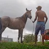 micaelrocha14