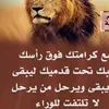 user50158223