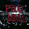 pr0_mma