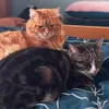 ed_and_annie