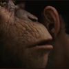 spinningbaboonfoot