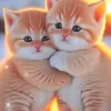 reyhanreyhan89