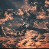 rasha__salah0