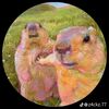 itzyaboyt
