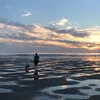 meg3hol
