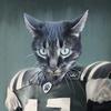 alien_football_cat