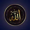 casaoui.zh