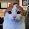 epysleepy