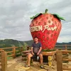 franz_012