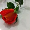 thiesiti08