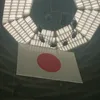 jumbo_186