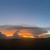joya_6385