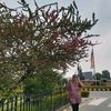 supriya66y