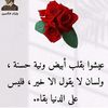 roro.zahra12almy