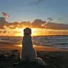 wipwup02
