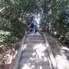 khanh.ly.tran00