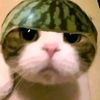 ihihiiiii0_