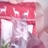 moiramacleod1