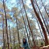 riamedianasari
