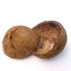 BATOK RIAU