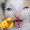 _devamp