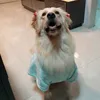 lolagolden01