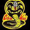 _cobra__kai_strike1st