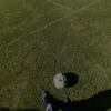 alfieboyce6