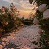 beautifuldream4