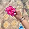 ~ASHRAKAT MOHAMED.~
