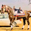 farok.200