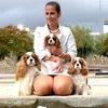 rockmyworld.cavalier