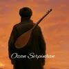ozanserpinhan