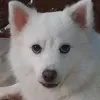 vantaebabe