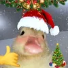 pato_pgdr
