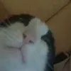 ryota.ki