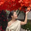 thaituongvi