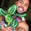 plant_daddy92