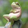 froggie89