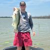 swimbait_saw